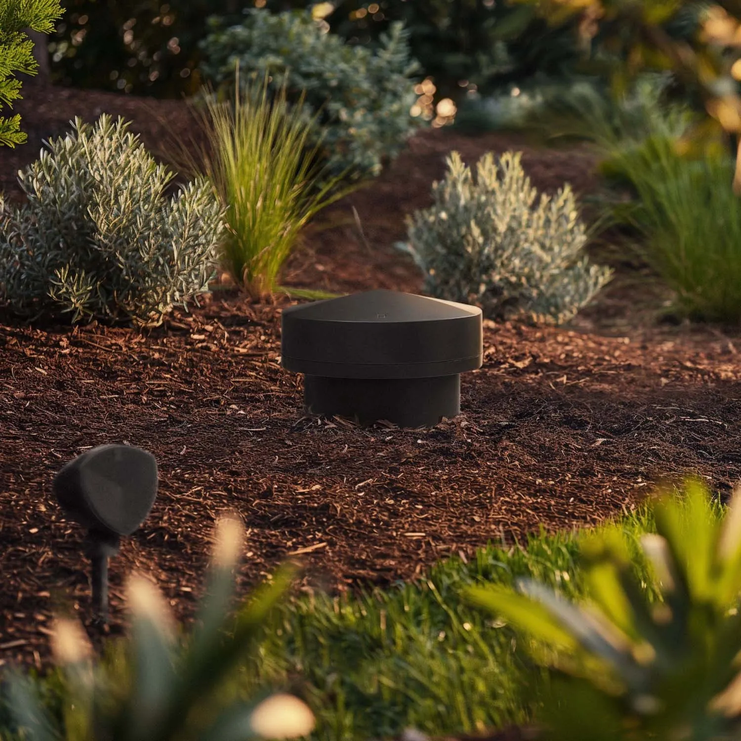 LS-80 in a garden bed with a landscape speaker nearby at golden hour